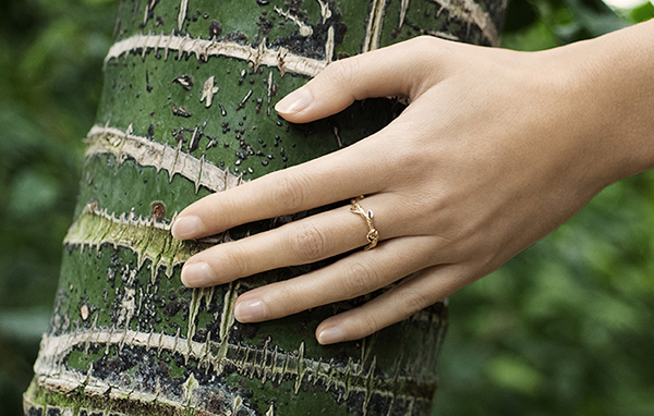 ethique-arbre-foret-branche-bijou-planete